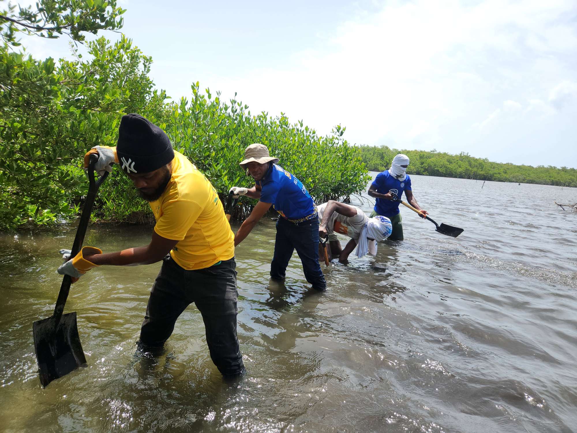 ICDME Mangrove Clean Up 2024